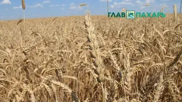 Правительство РФ выделит 26,5 млрд рублей на поддержку приоритетных направлений АПК — Михаил Мишустин